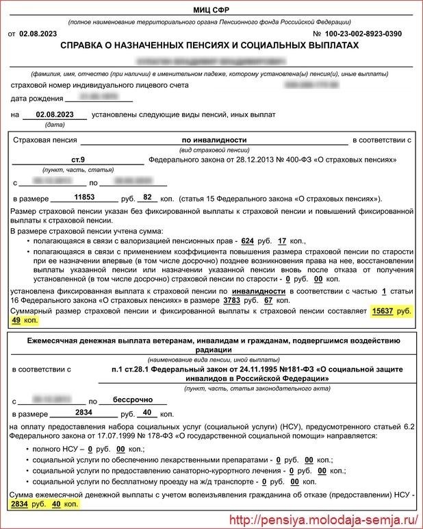 Каким образом можно определить размер своей текущей пенсии?