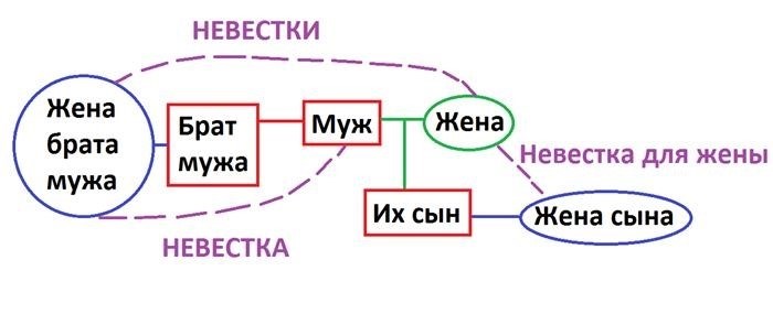 Я наглядно демонстрирую на графическом изображении, кто представляет собой невестка.